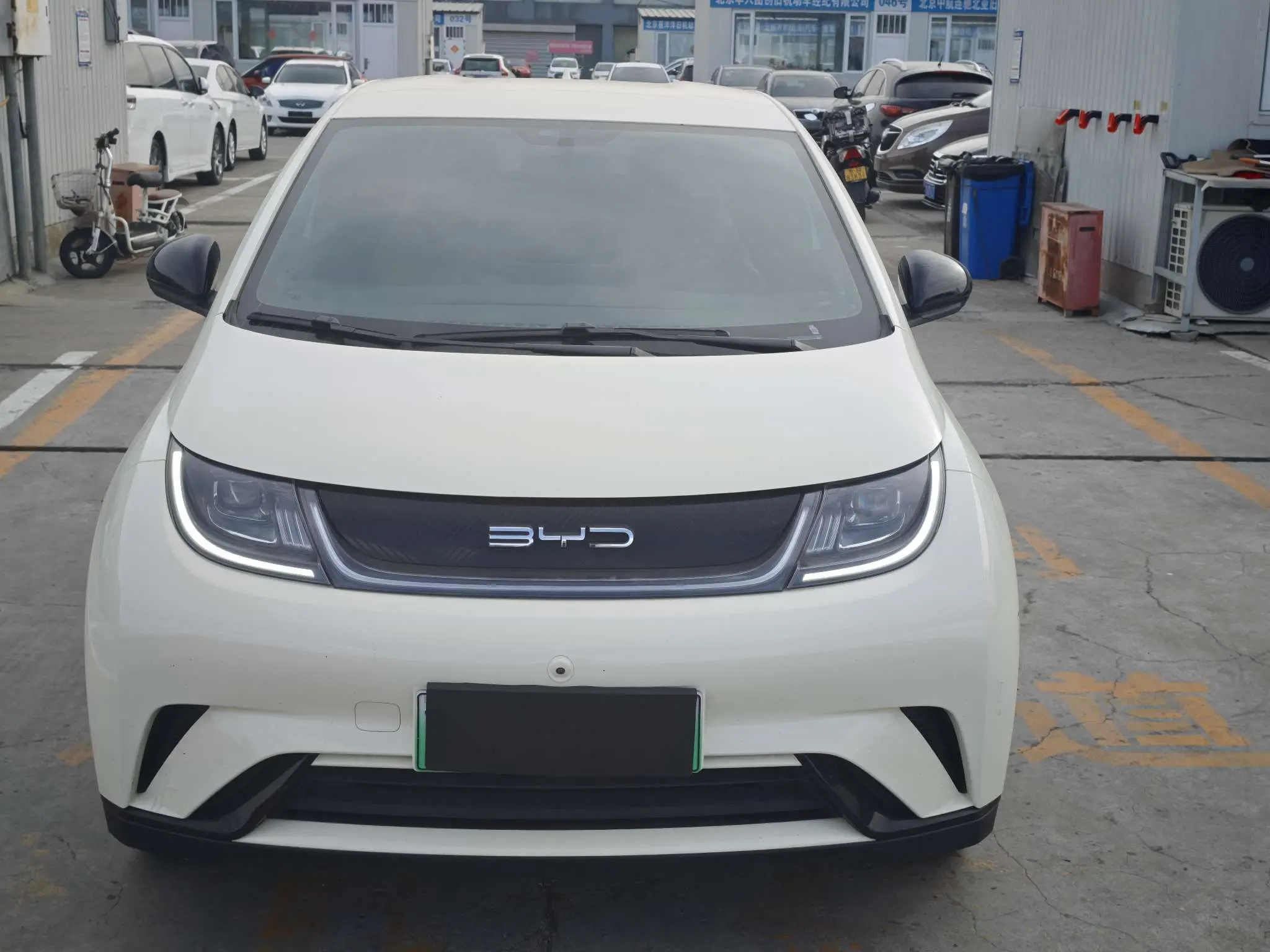 BYD Dolphin  из Китая