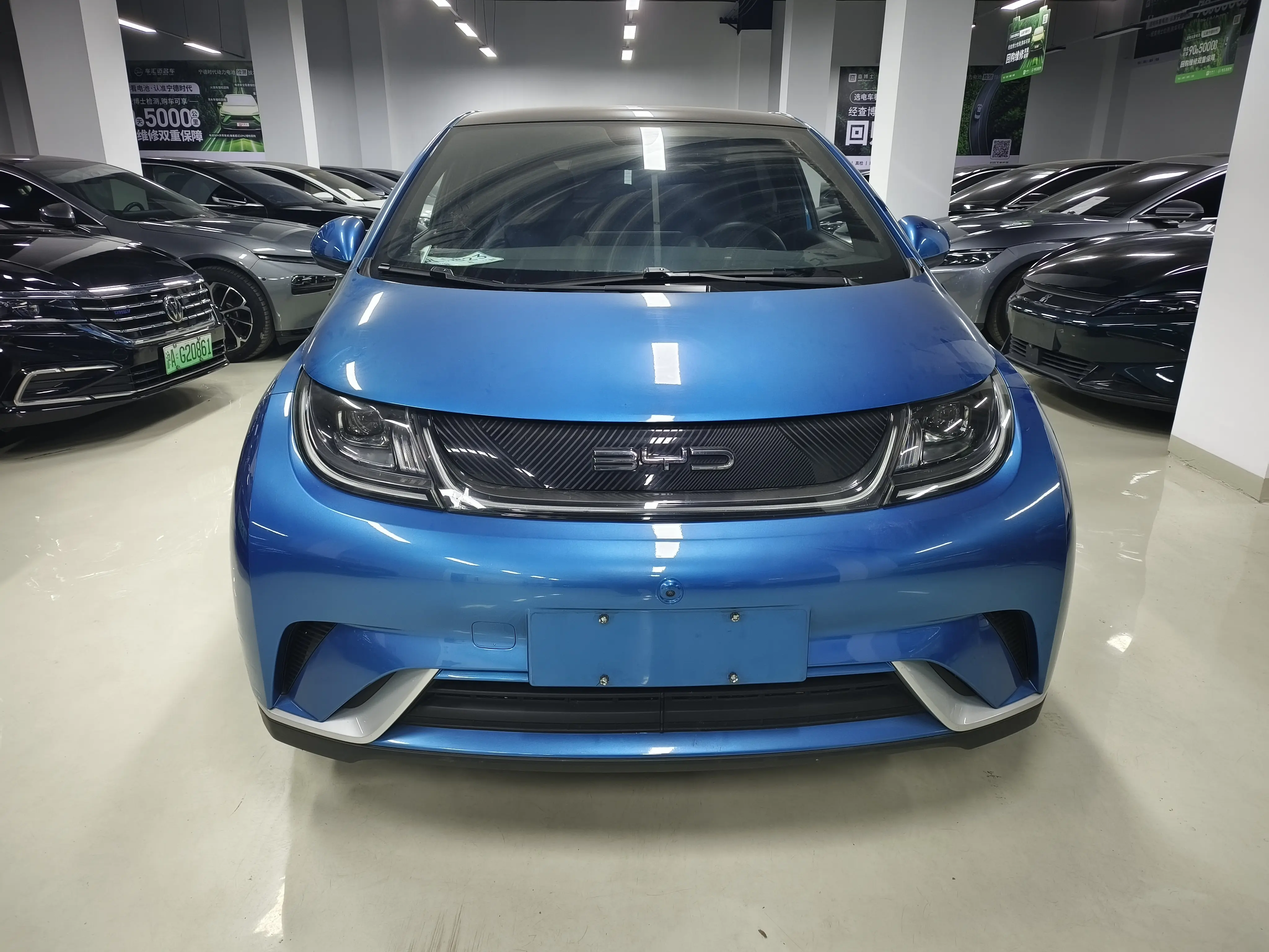 BYD Dolphin  из Китая
