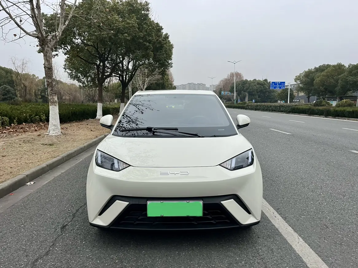 BYD Seagull  из Китая