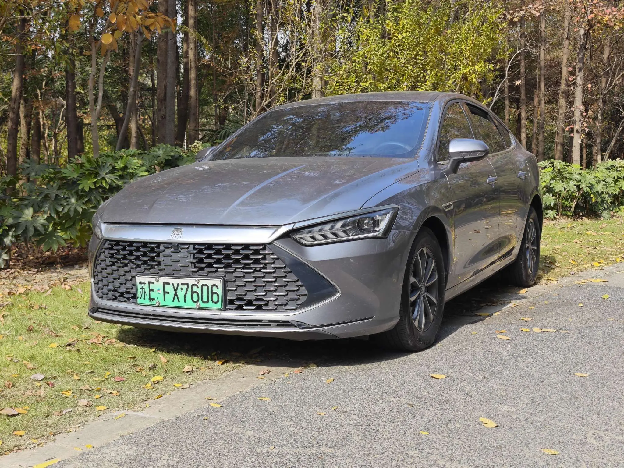 BYD Qin PLUS DM  из Китая