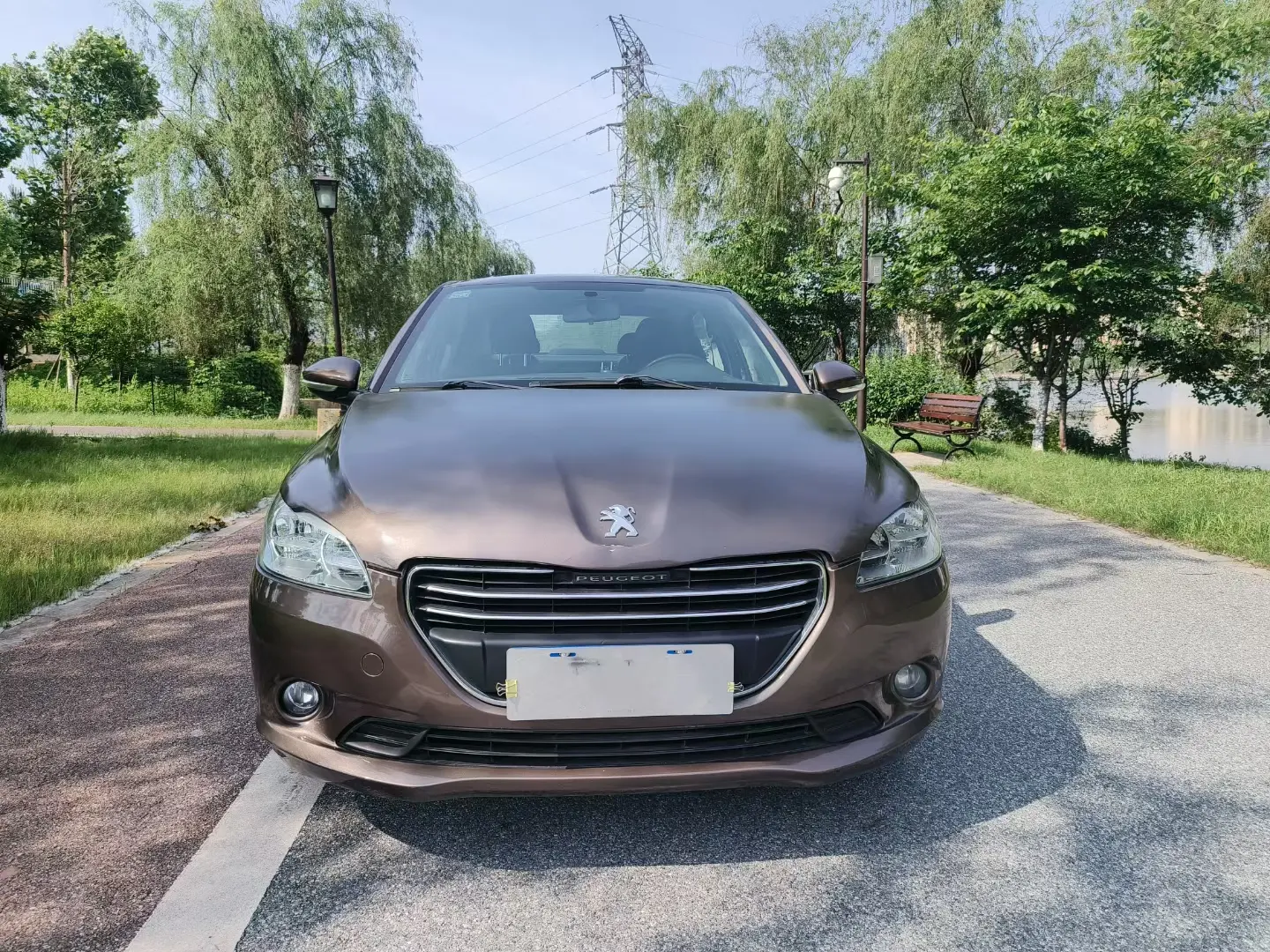 Peugeot 301  из Китая