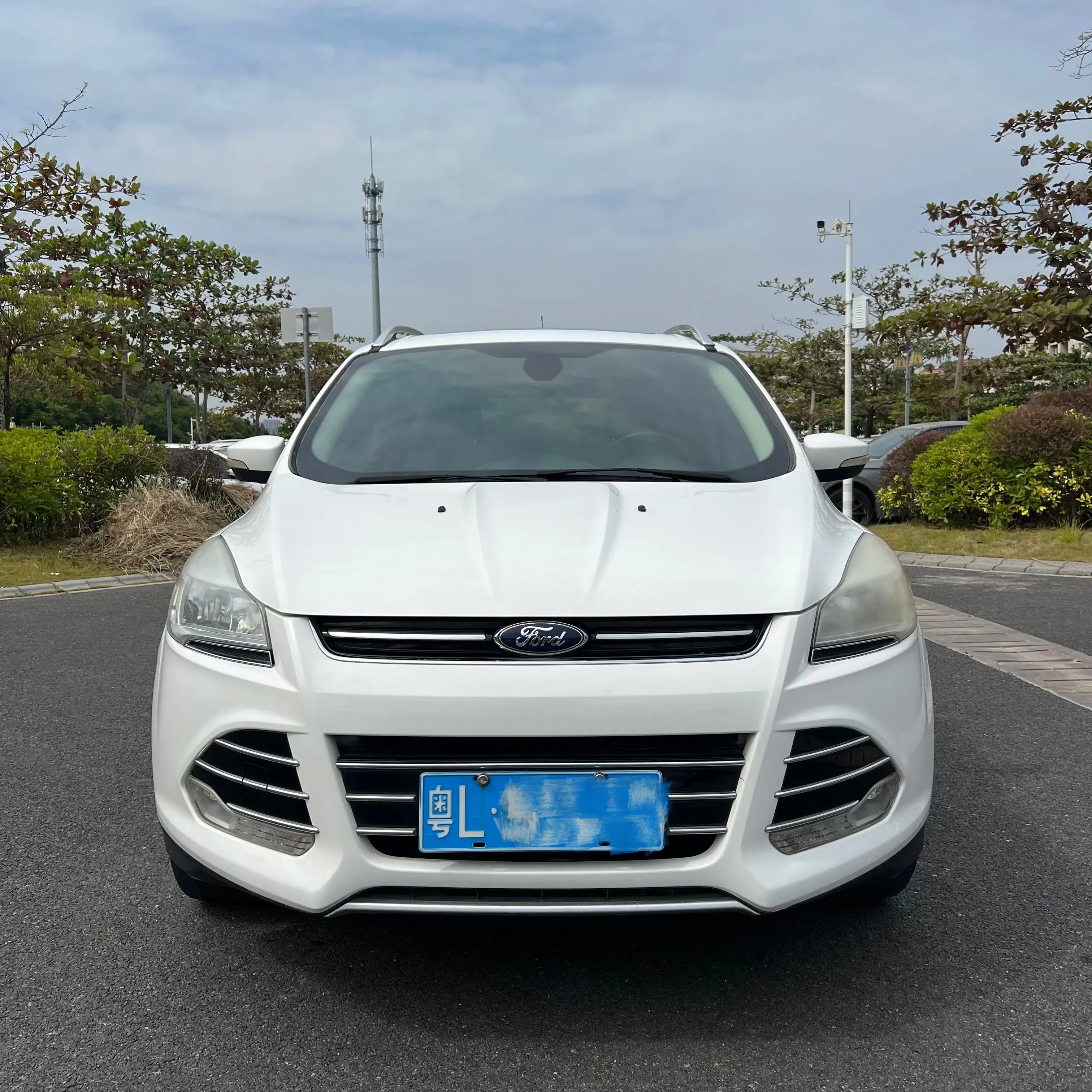 Ford Wing tiger  из Китая