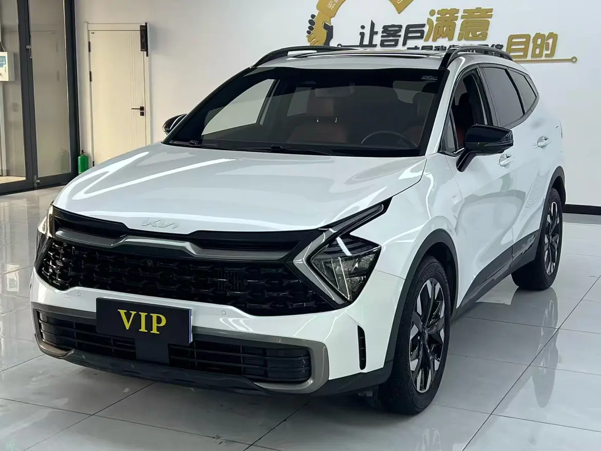 Kia Lion Platinum Expands the Boundary  из Китая