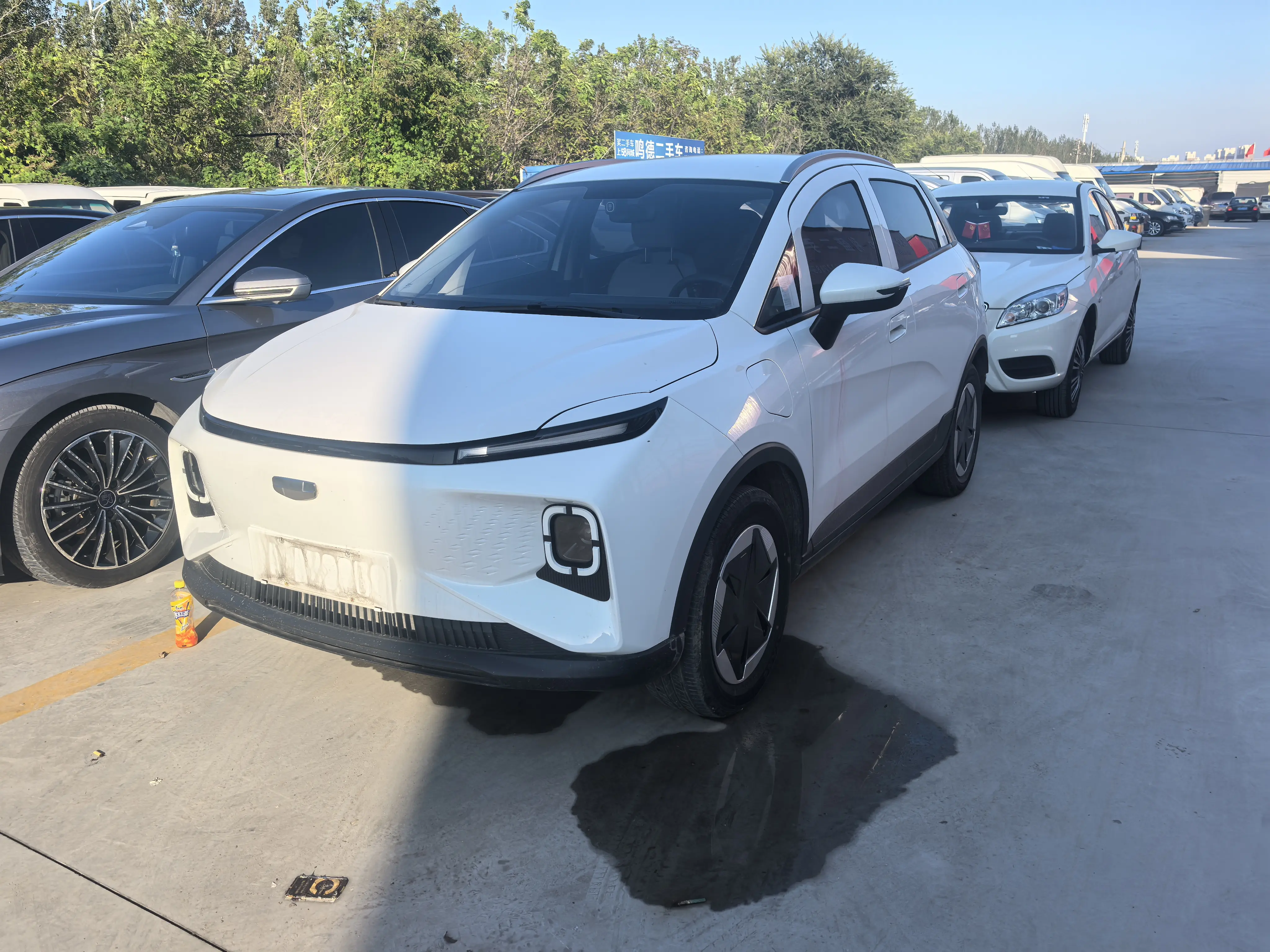 Geely Geometry E Firefly  из Китая