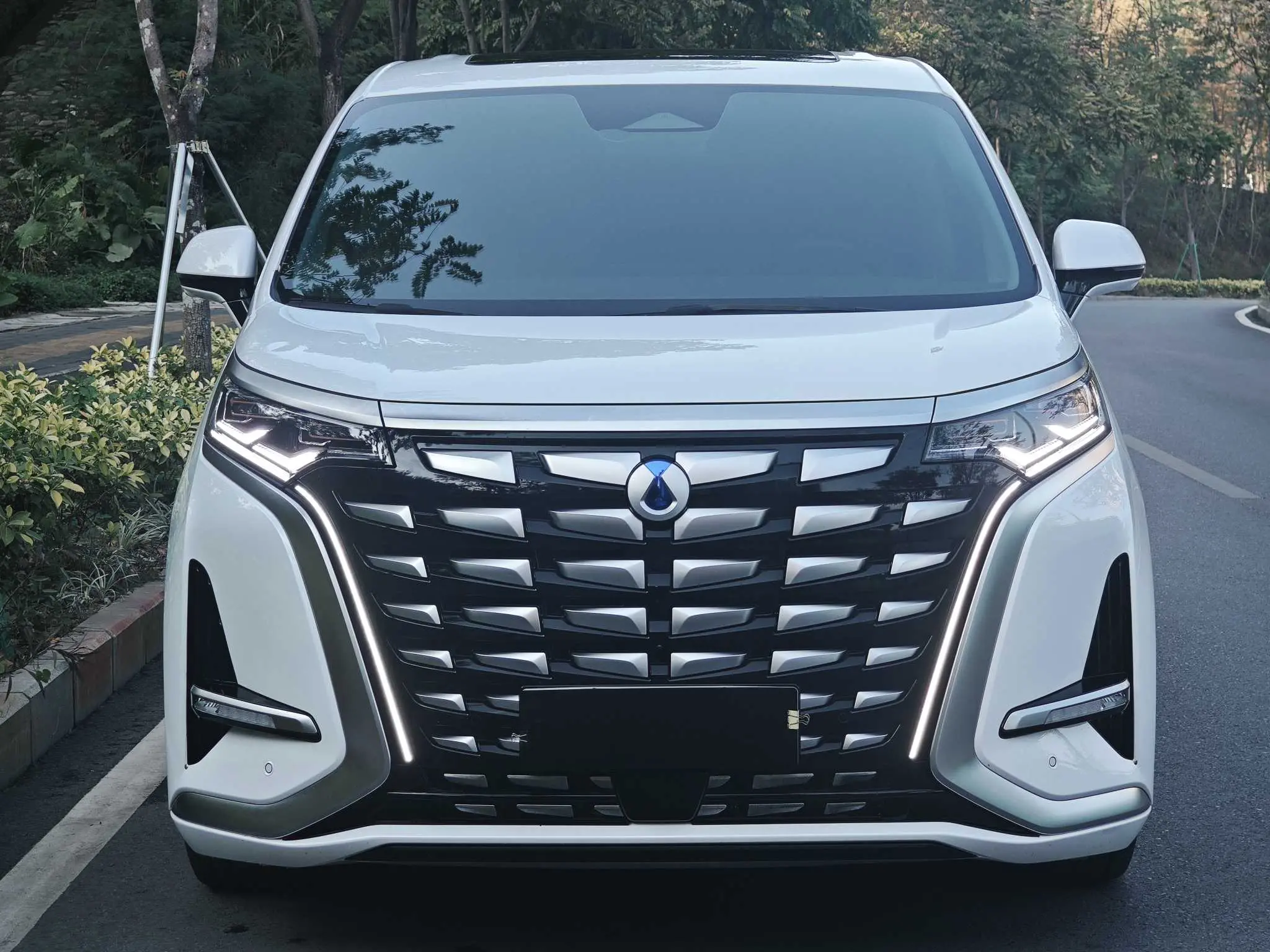 Denza D9 DM  из Китая