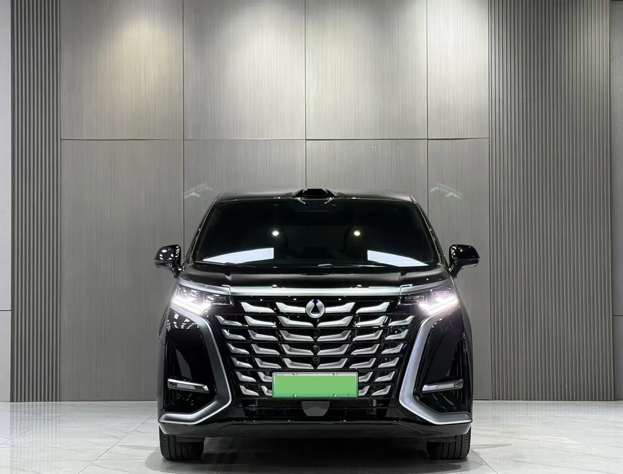 Denza D9 DM  из Китая