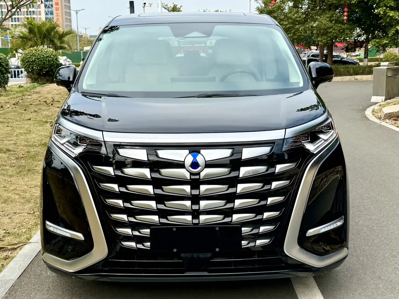 Denza D9 DM  из Китая