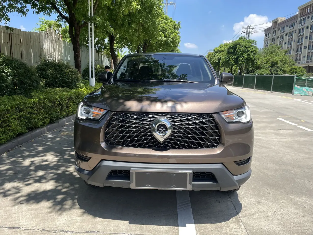 Great Wall Gun  из Китая