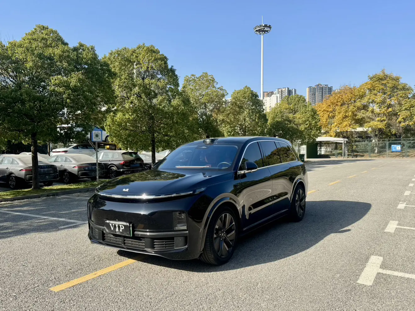 Li L9 (Ideal L9)  из Китая