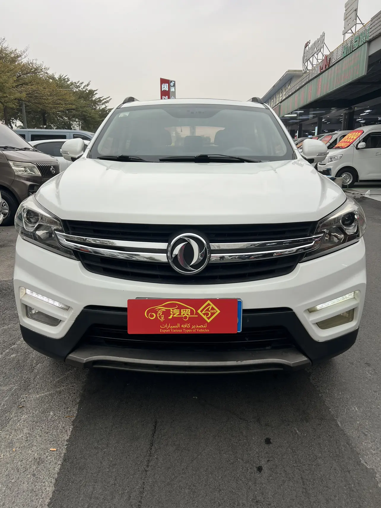 Dongfeng Scenery S560  из Китая
