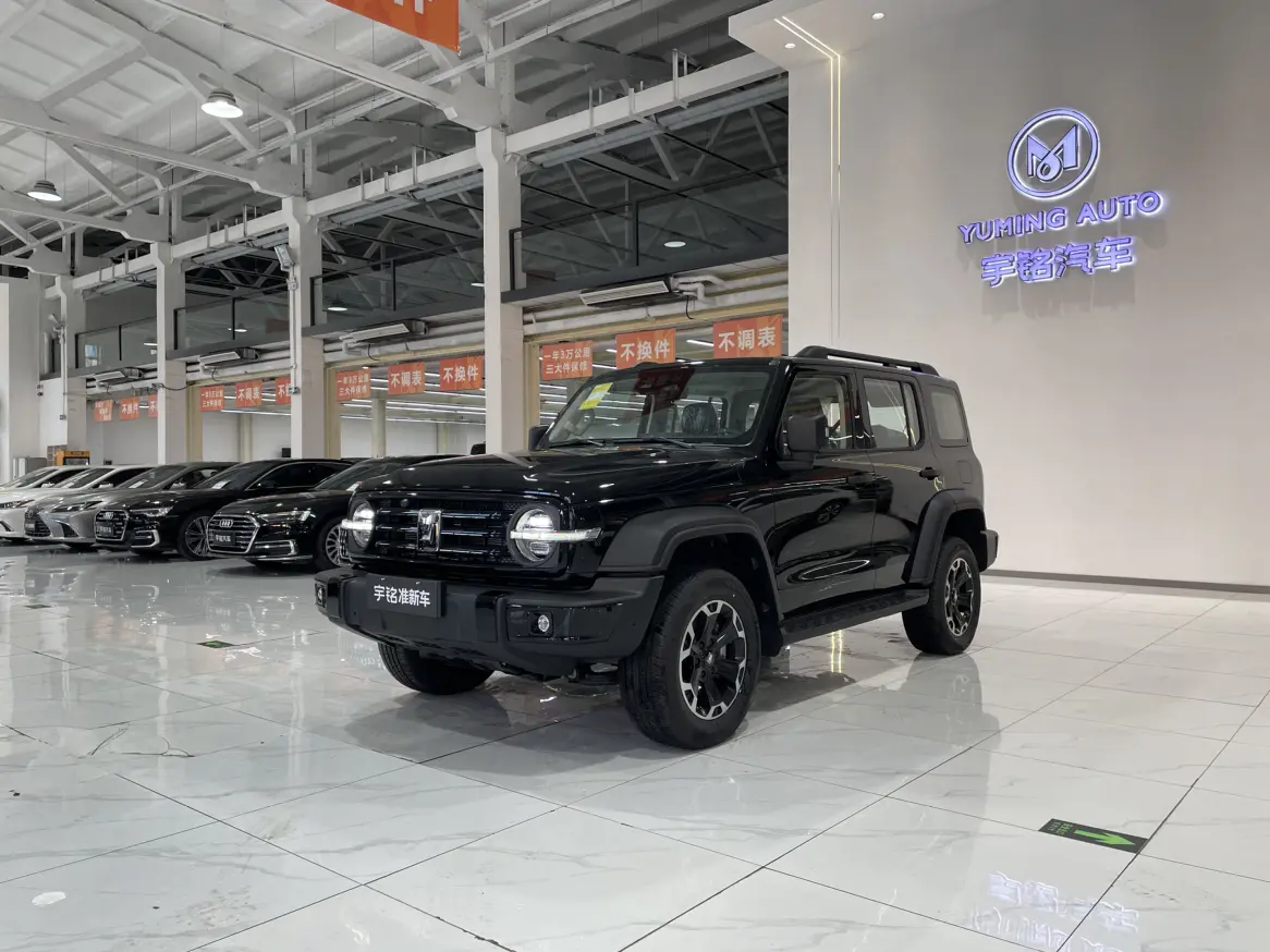 Tank 300 Hi4-T  из Китая