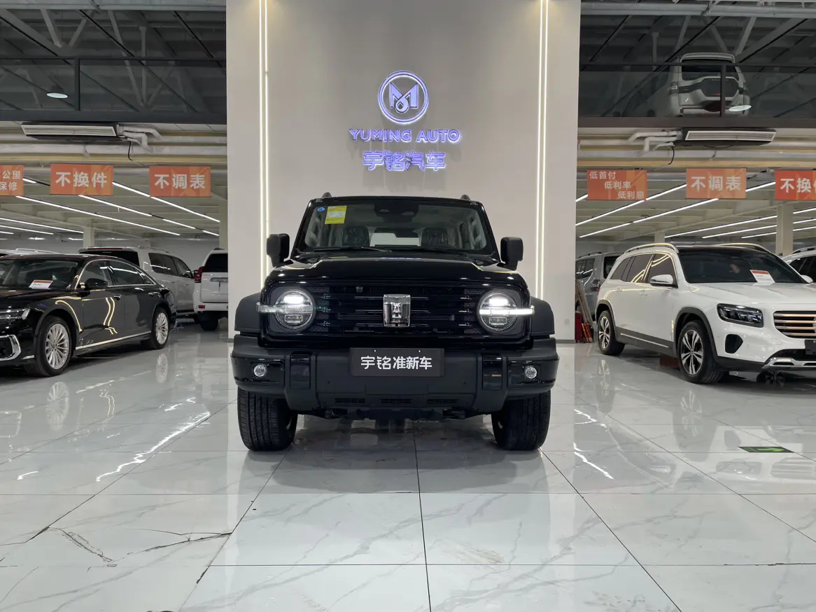 Tank 300 Hi4-T  из Китая