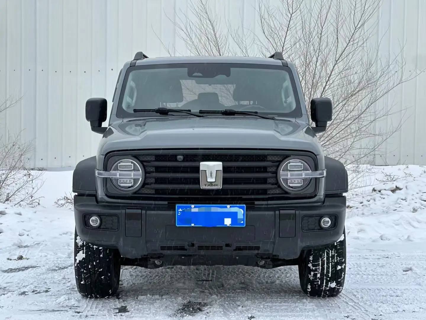 Tank 300  из Китая