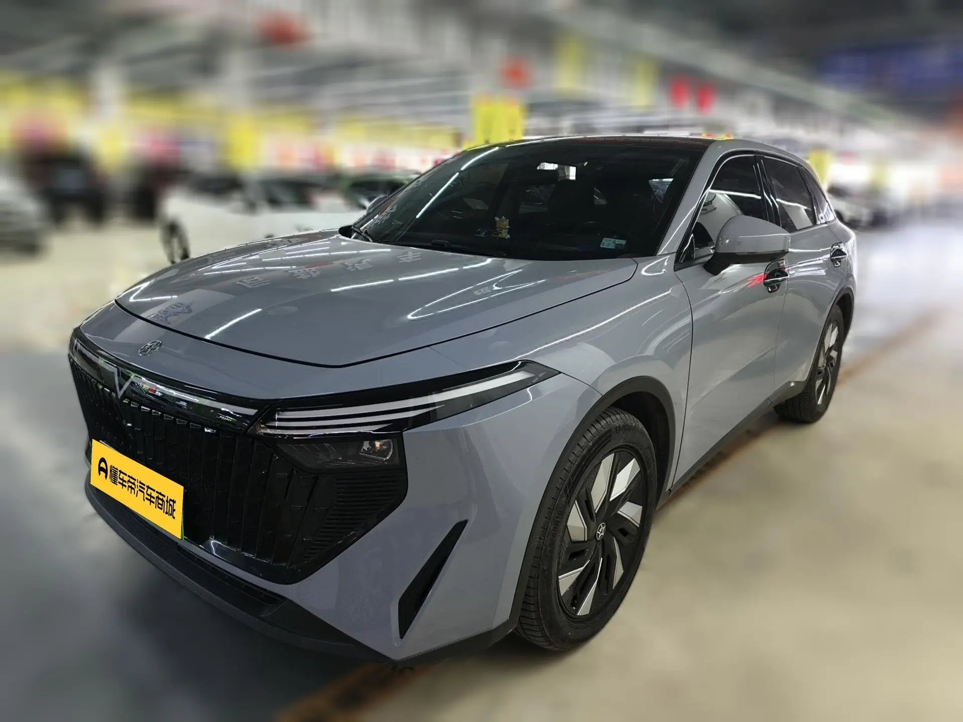 Kai Chen Qichen Big V DD-i  из Китая