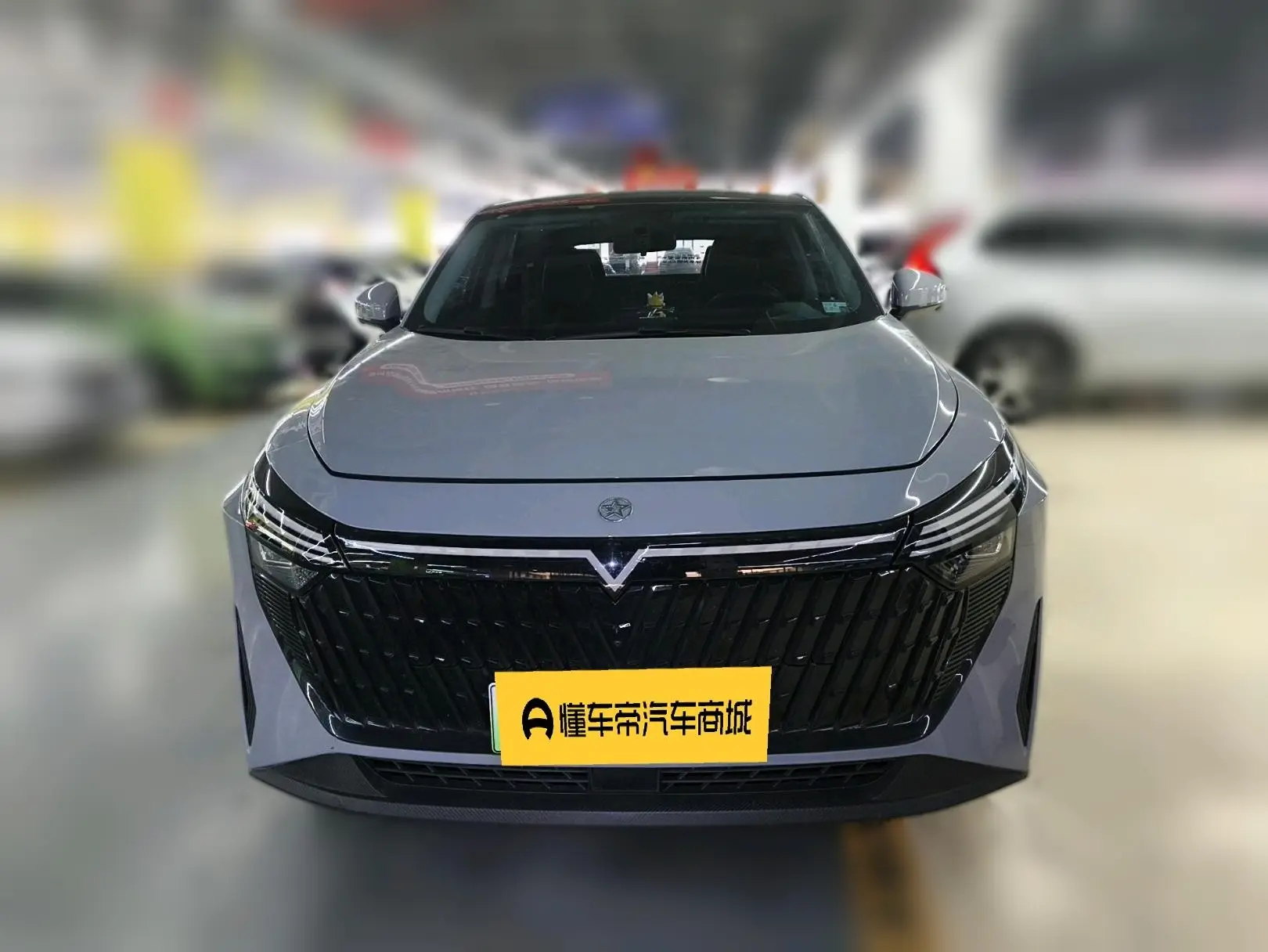 Kai Chen Qichen Big V DD-i  из Китая