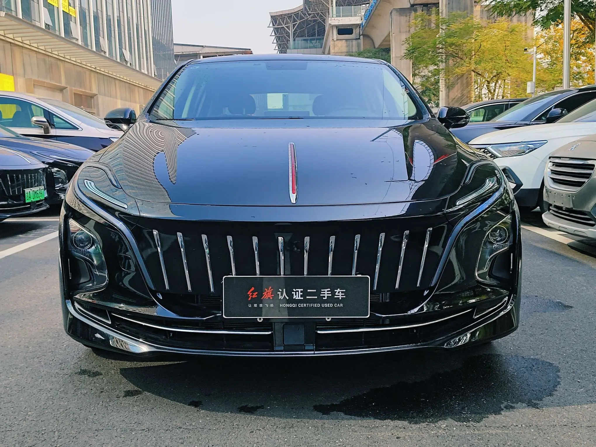 Hongqi E-QM5  из Китая