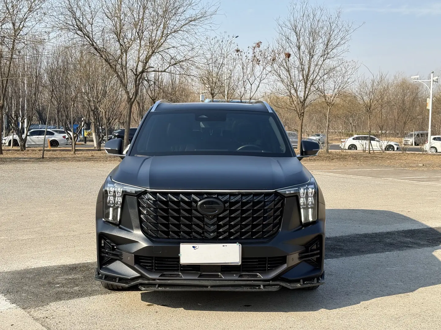 GAC Trumpchi GS8  из Китая
