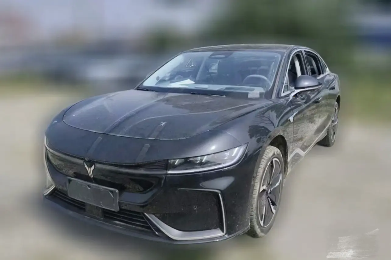 Voyah Passion EV  из Китая