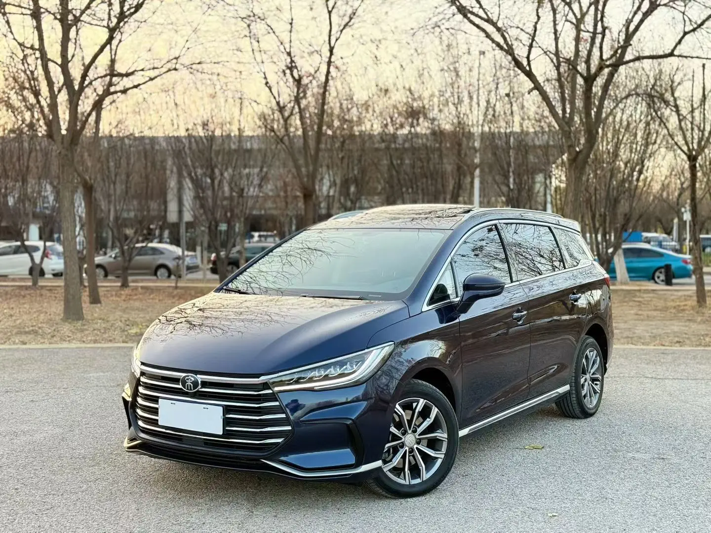 BYD Song MAX  из Китая