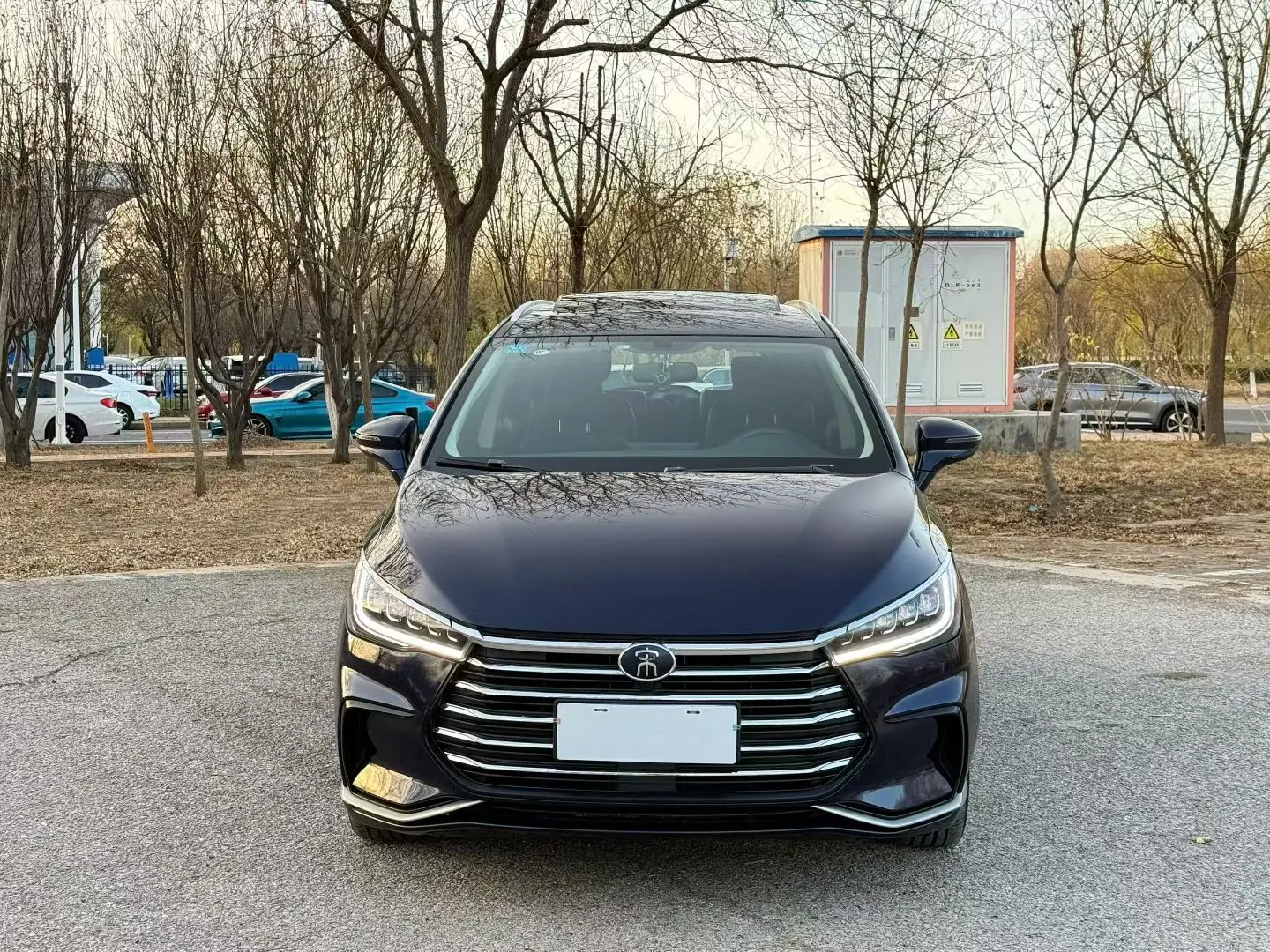 BYD Song MAX  из Китая