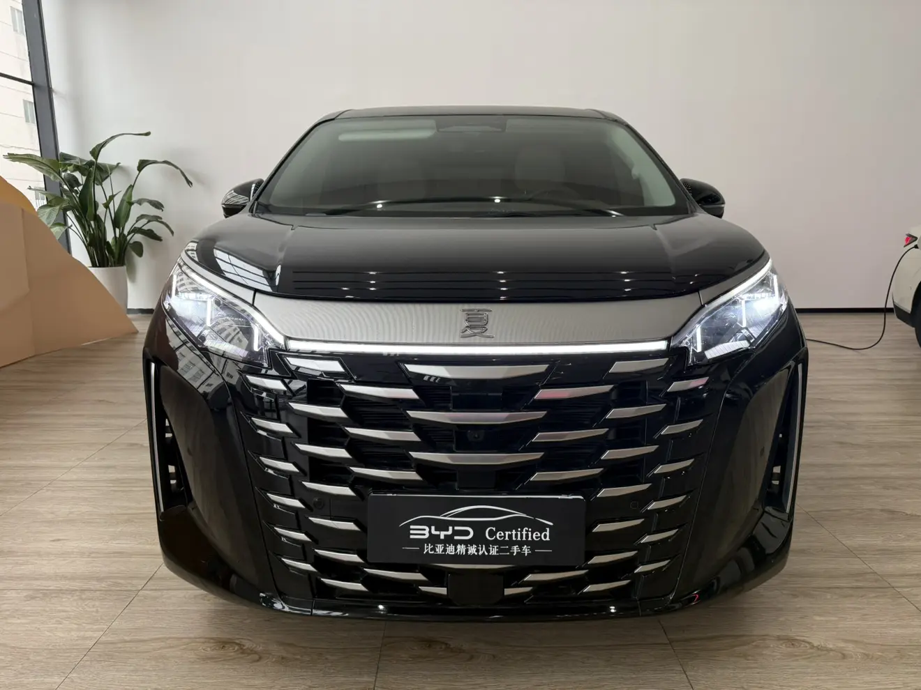 BYD Summer  из Китая