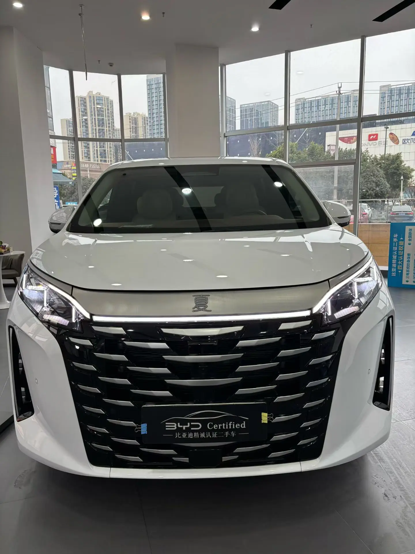 BYD Summer  из Китая