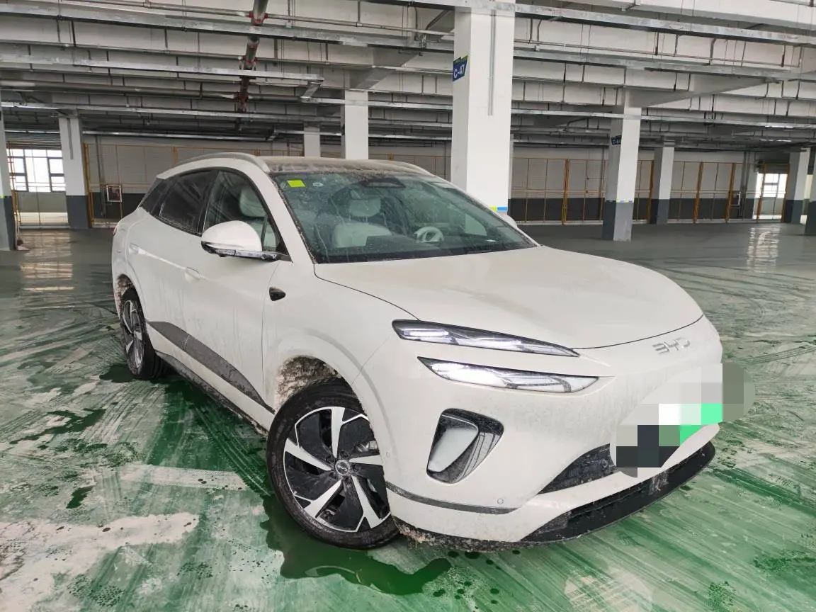 BYD Sea Lion 06DM  из Китая