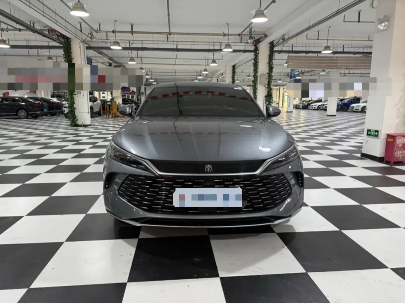 BYD Qin L DM  из Китая