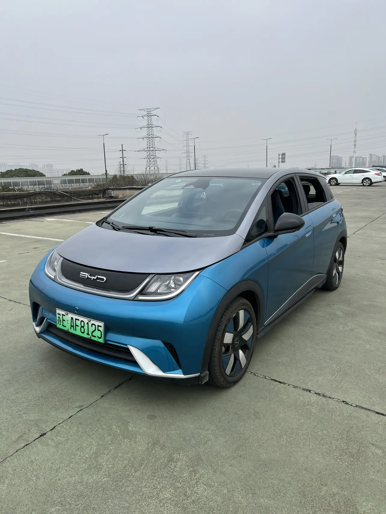 BYD Dolphin  из Китая