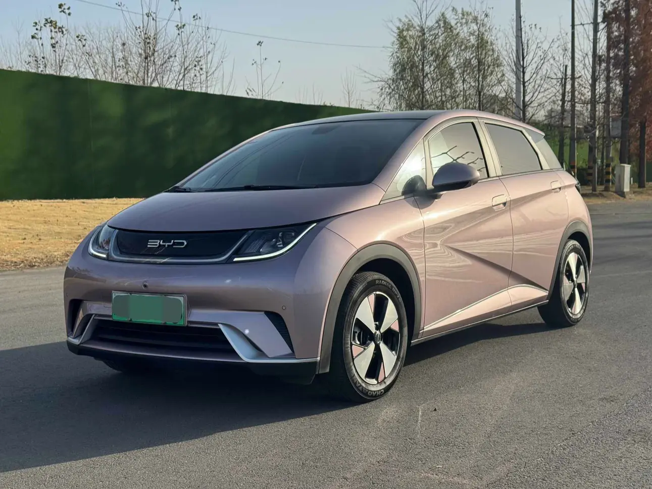 BYD Dolphin  из Китая
