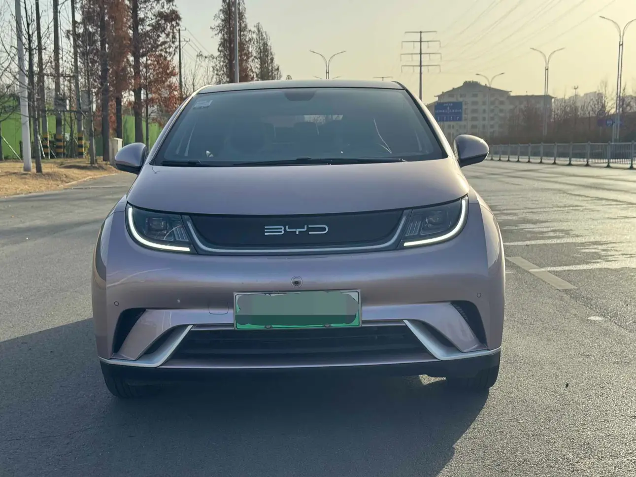 BYD Dolphin  из Китая