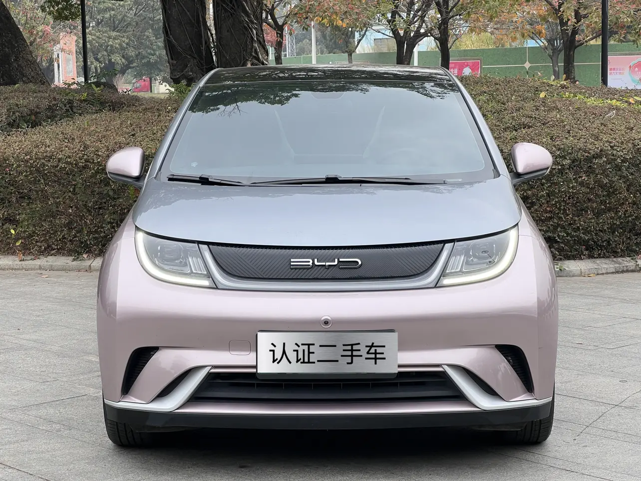 BYD Dolphin  из Китая