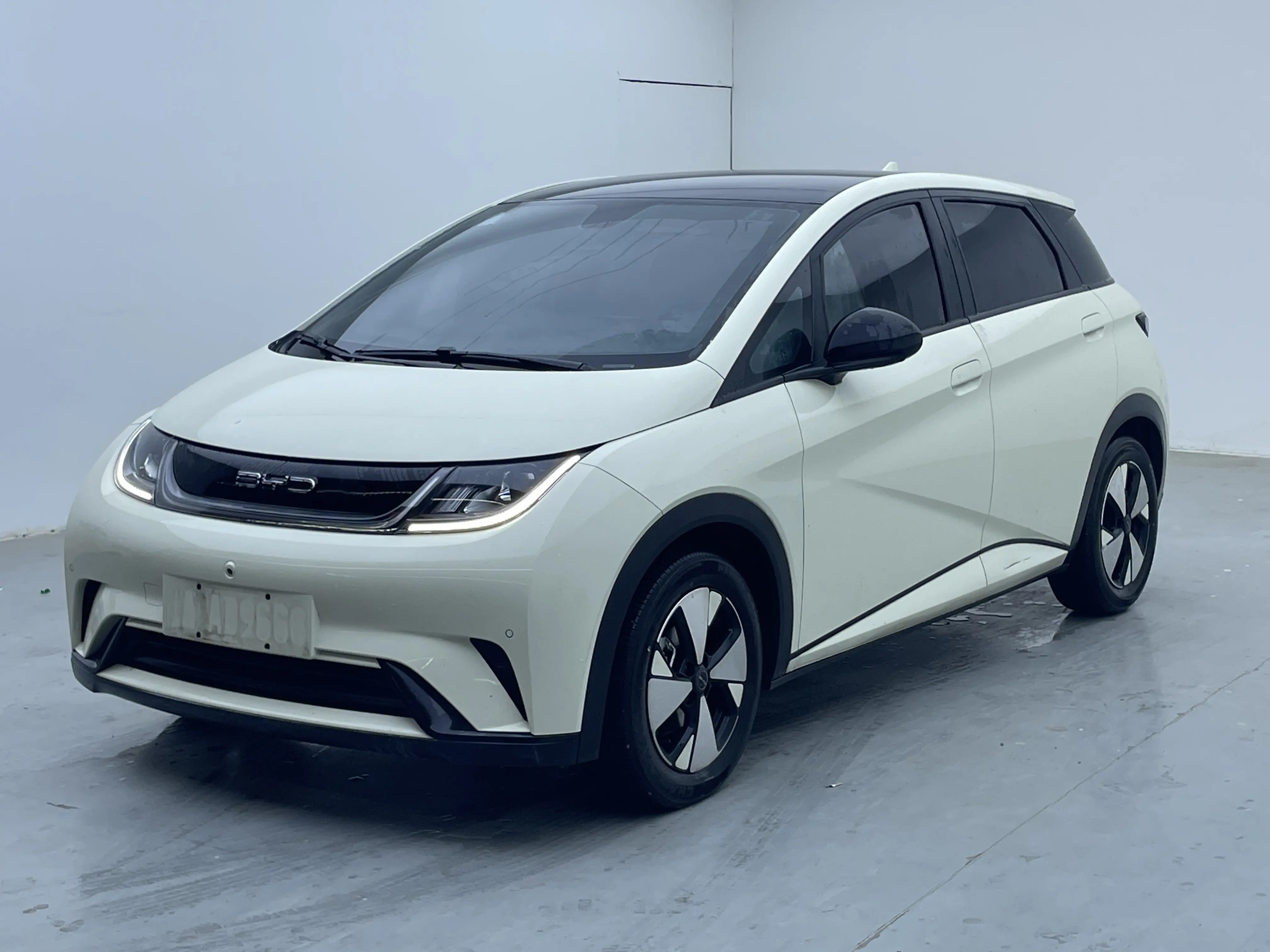 BYD Dolphin  из Китая