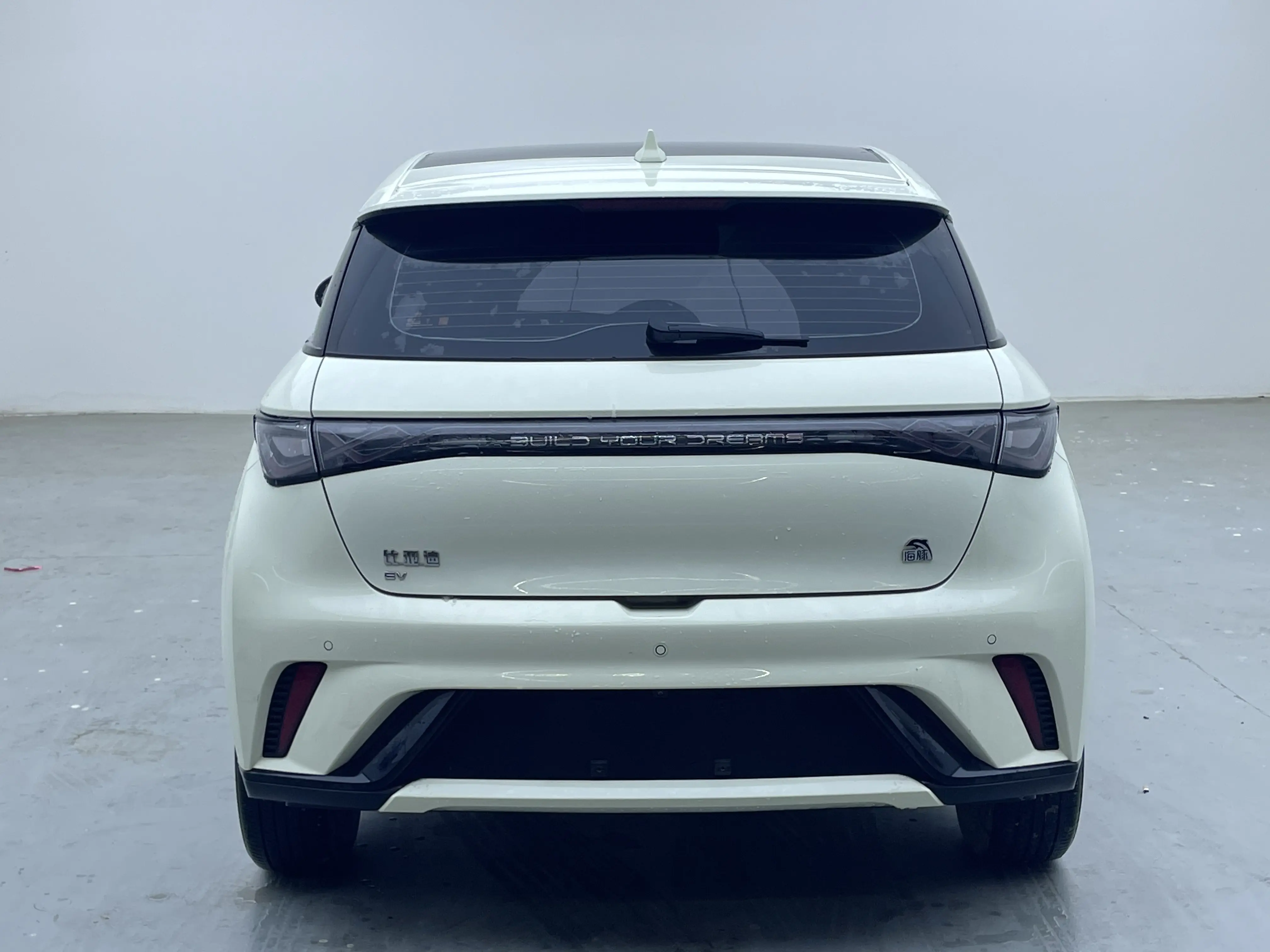 BYD Dolphin  из Китая