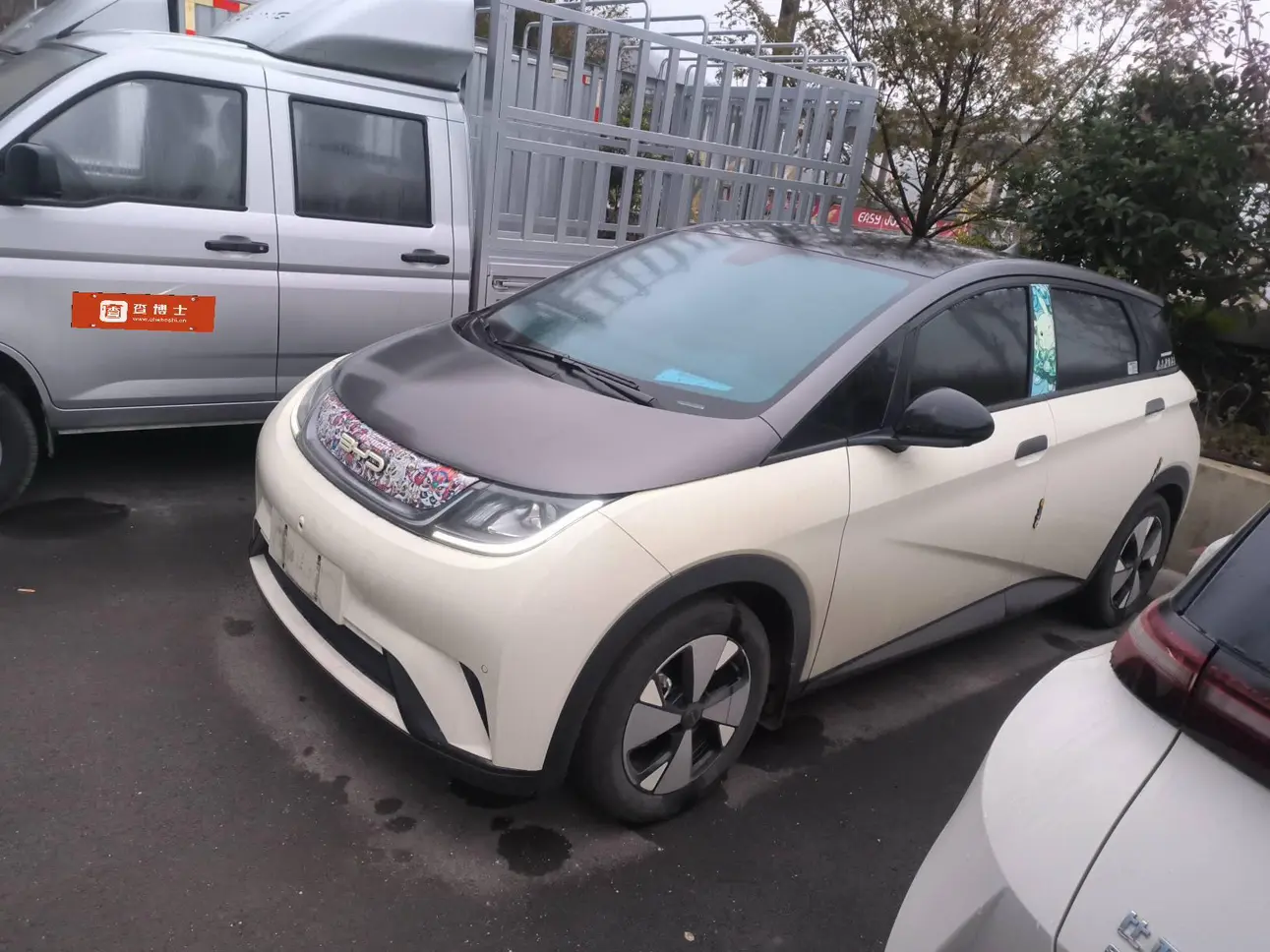 BYD Dolphin  из Китая