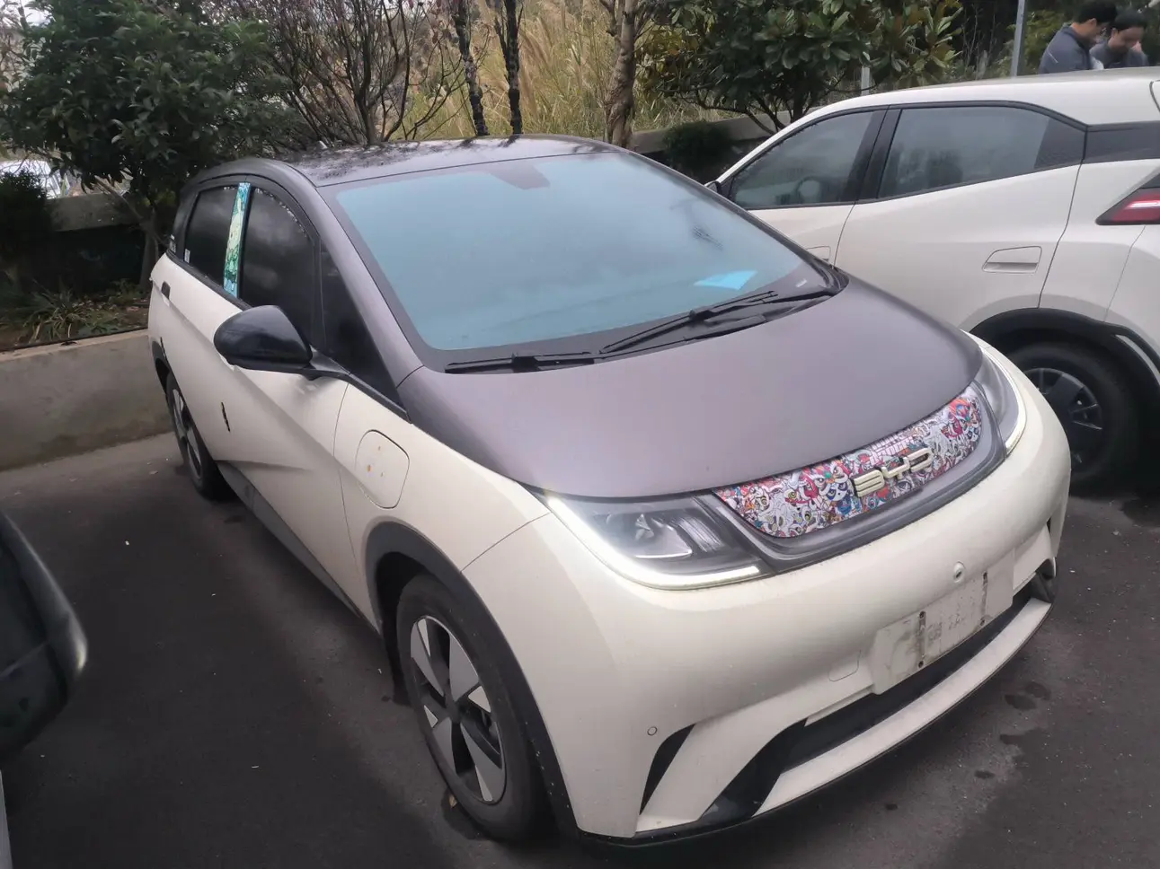 BYD Dolphin  из Китая