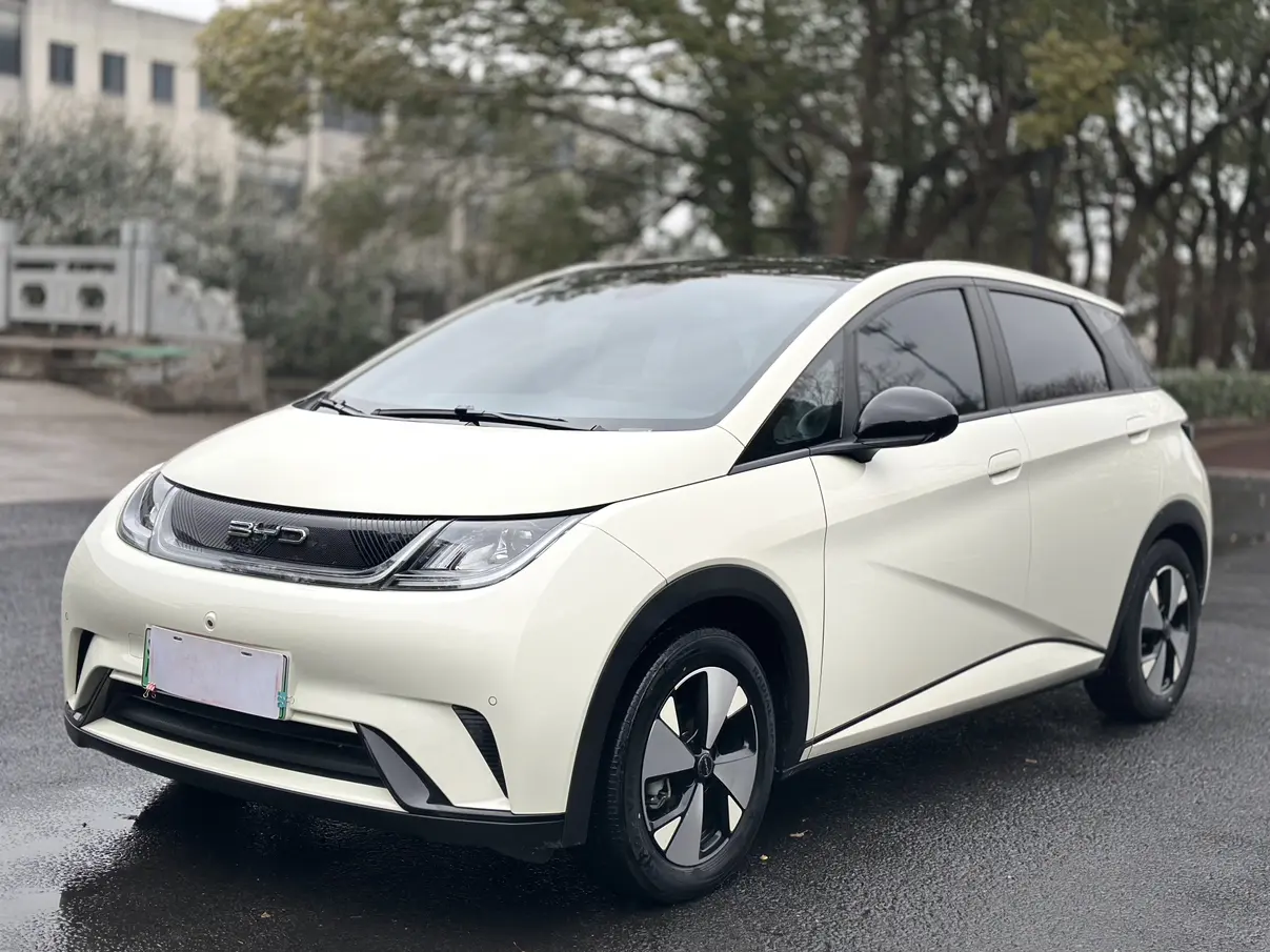 BYD Dolphin  из Китая