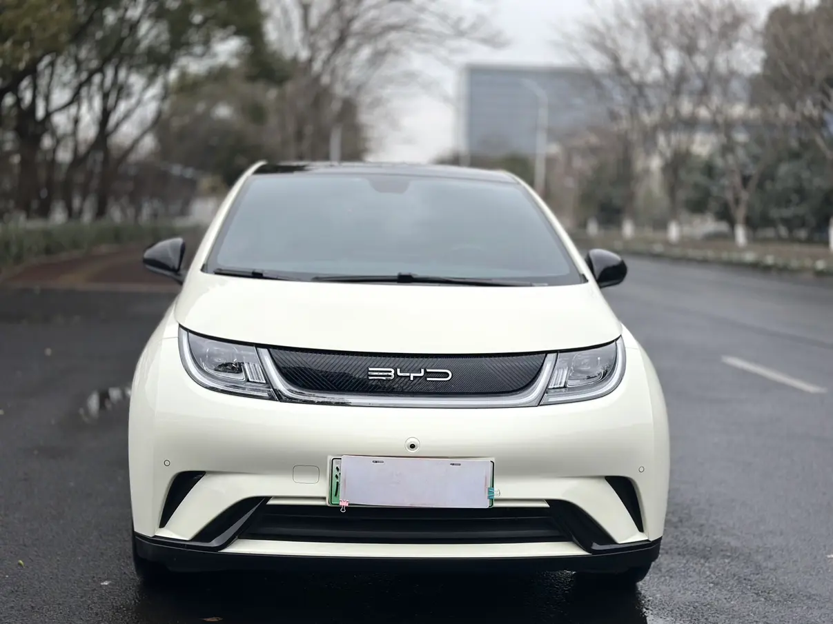 BYD Dolphin  из Китая