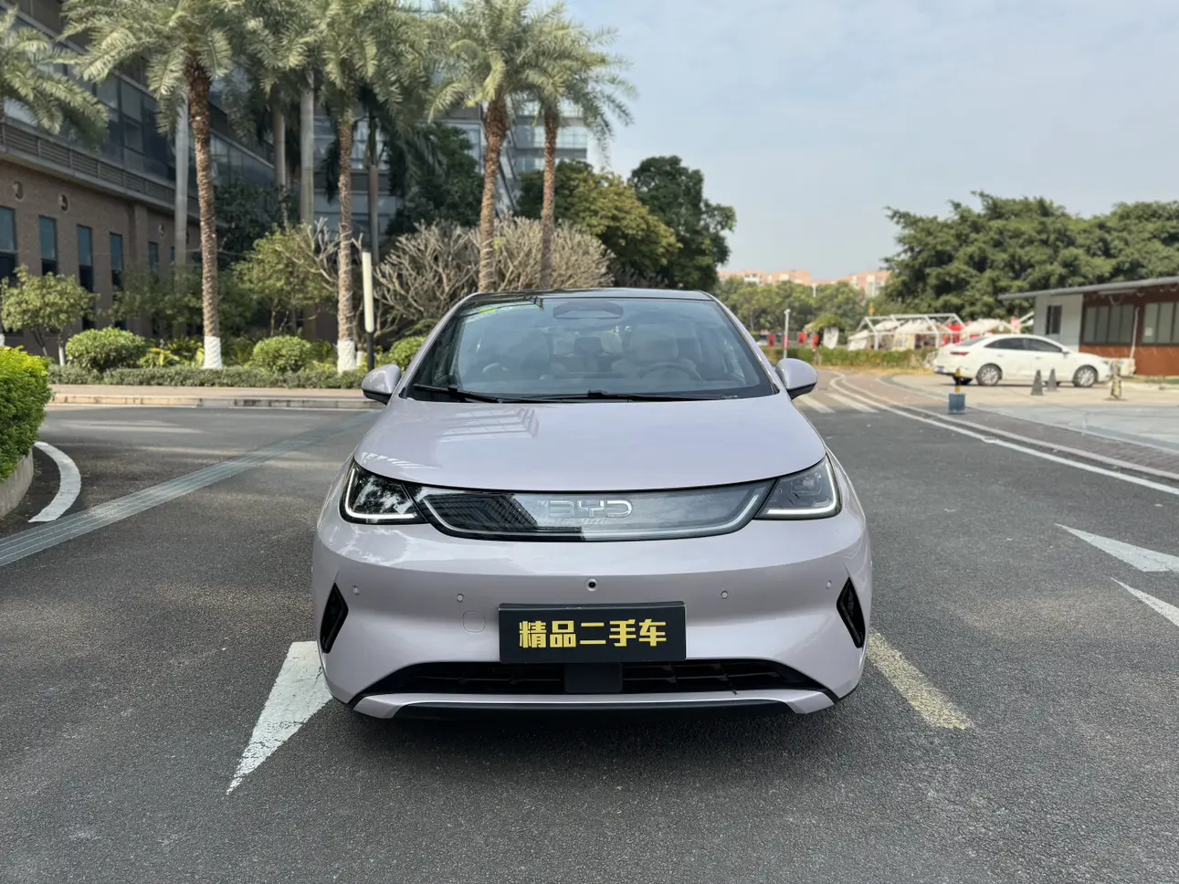 BYD Dolphin  из Китая