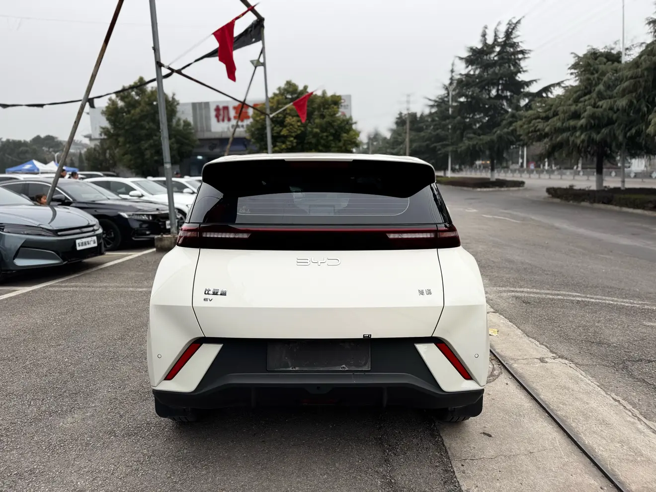 BYD Seagull  из Китая