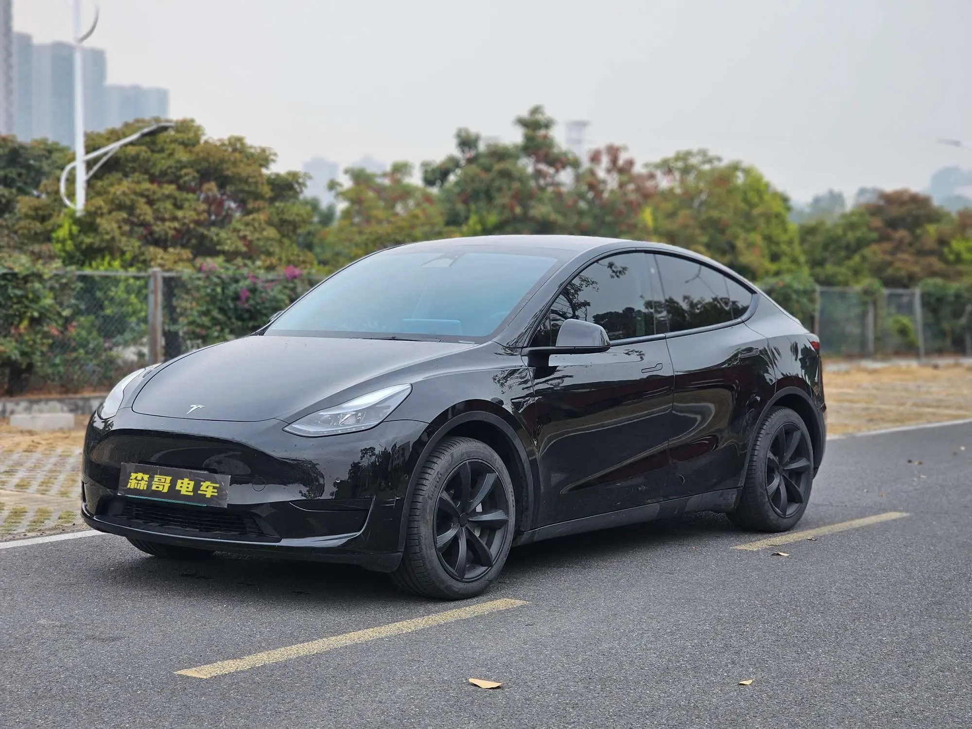 Tesla Model Y  из Китая