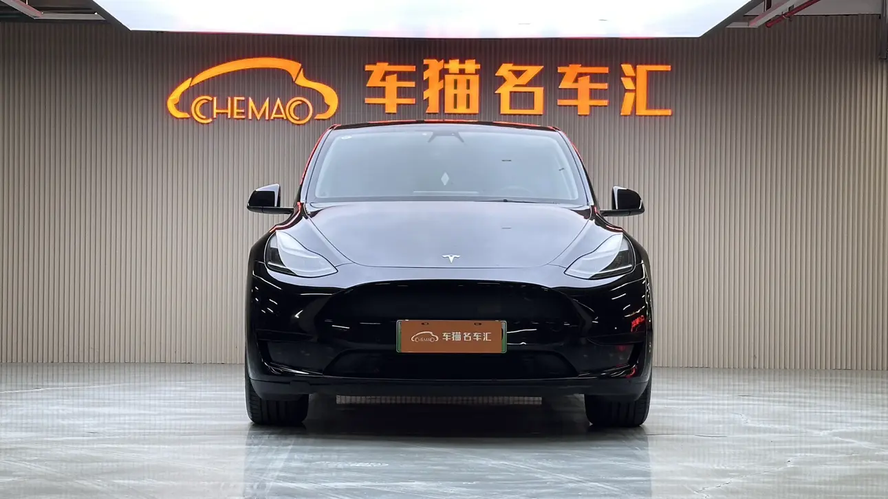 Tesla Model Y  из Китая