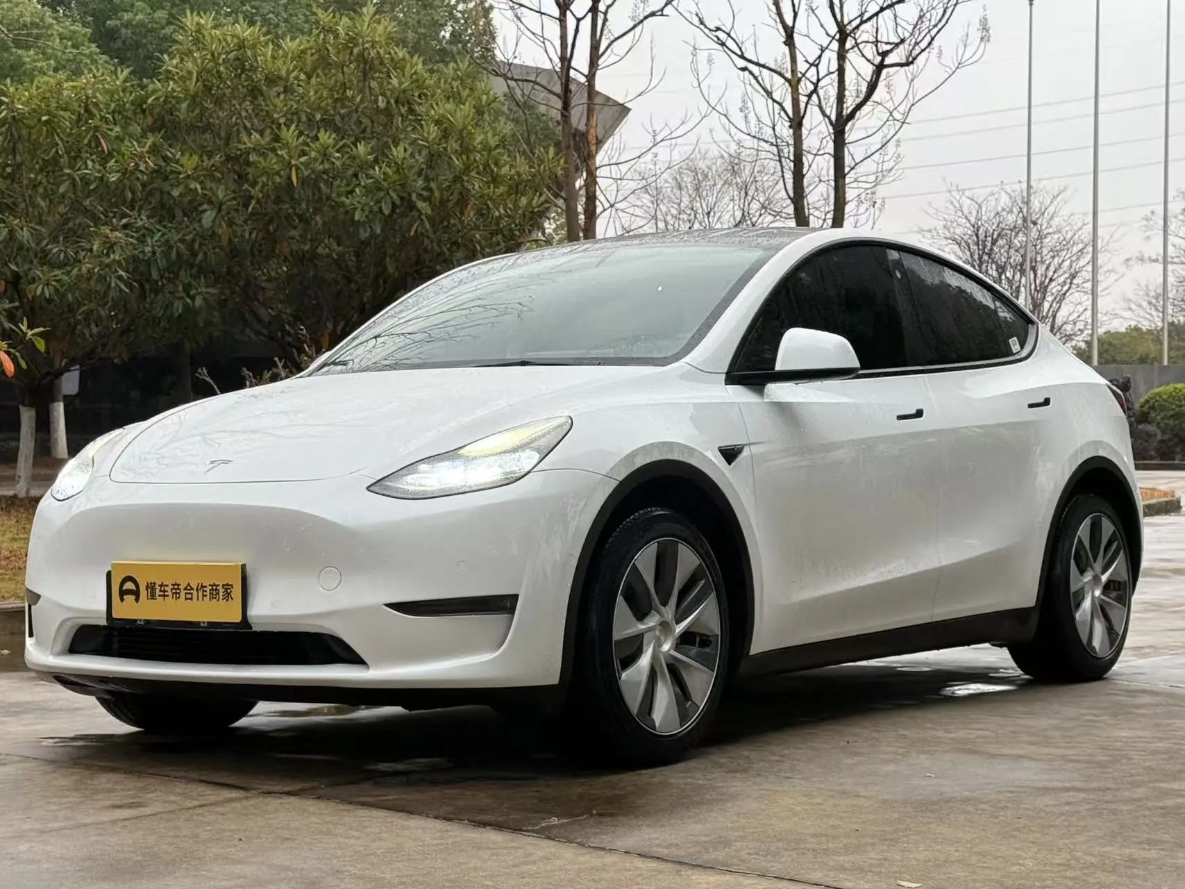 Tesla Model Y  из Китая