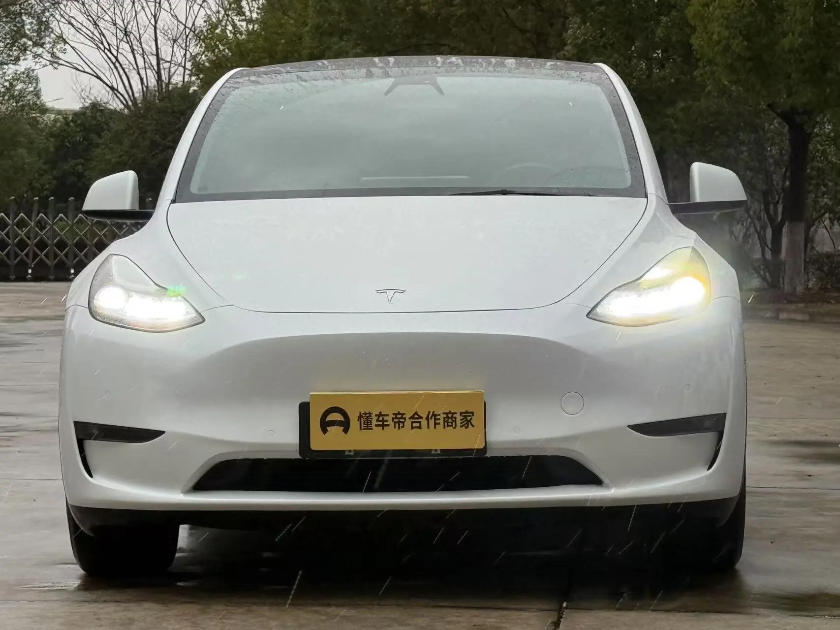 Tesla Model Y  из Китая