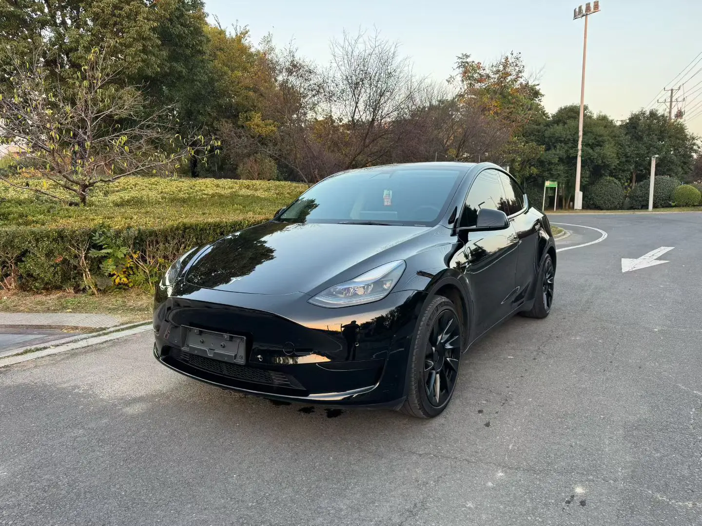 Tesla Model Y  из Китая
