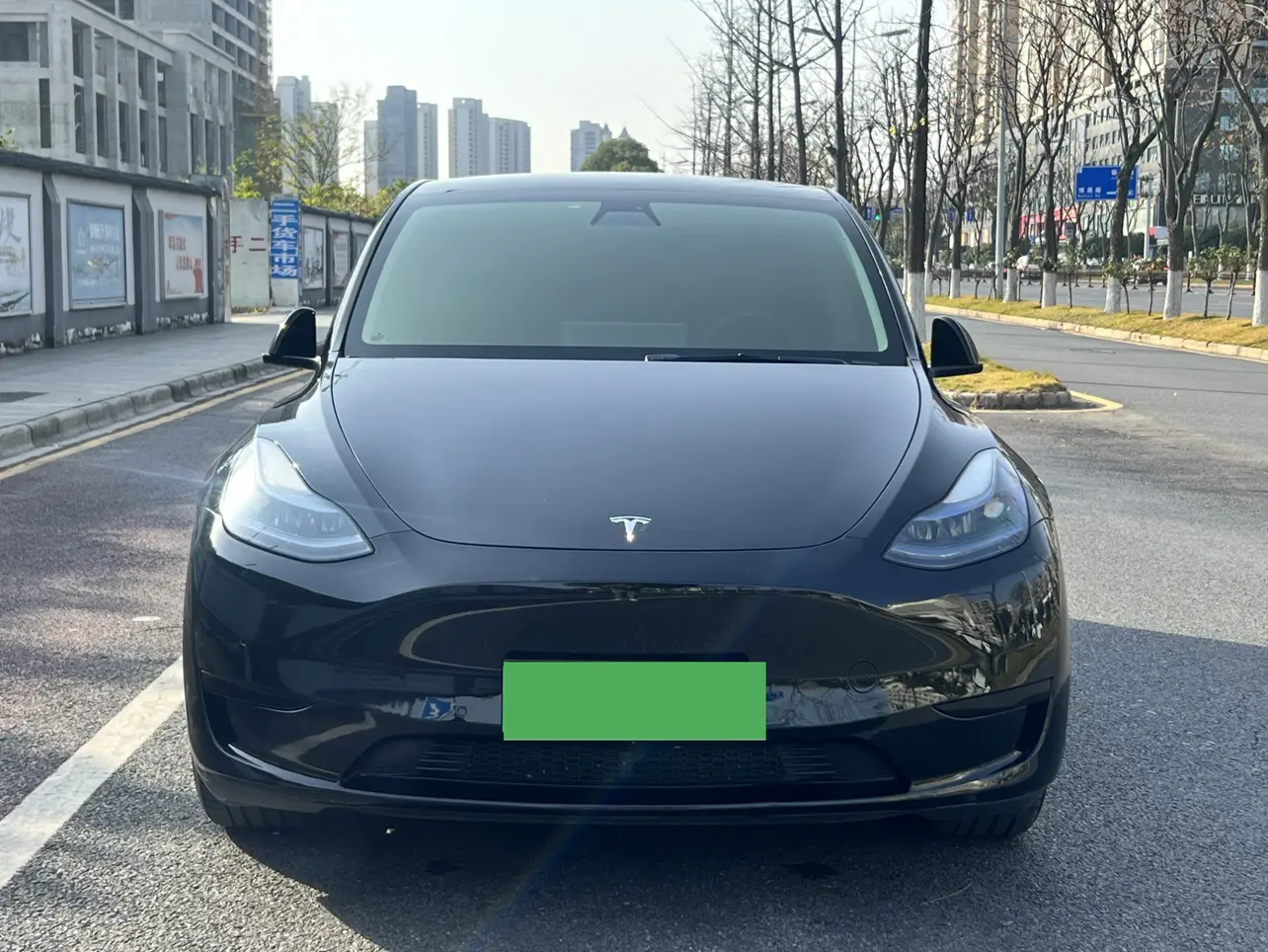 Tesla Model Y  из Китая
