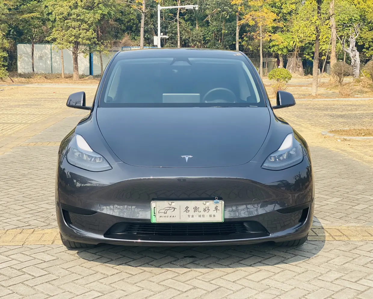 Tesla Model Y  из Китая