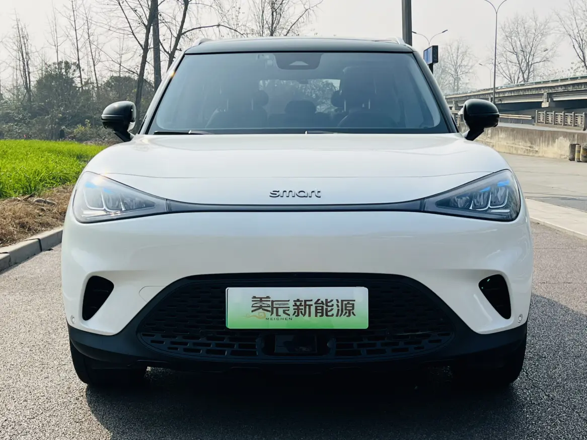 Smart elf #1  из Китая