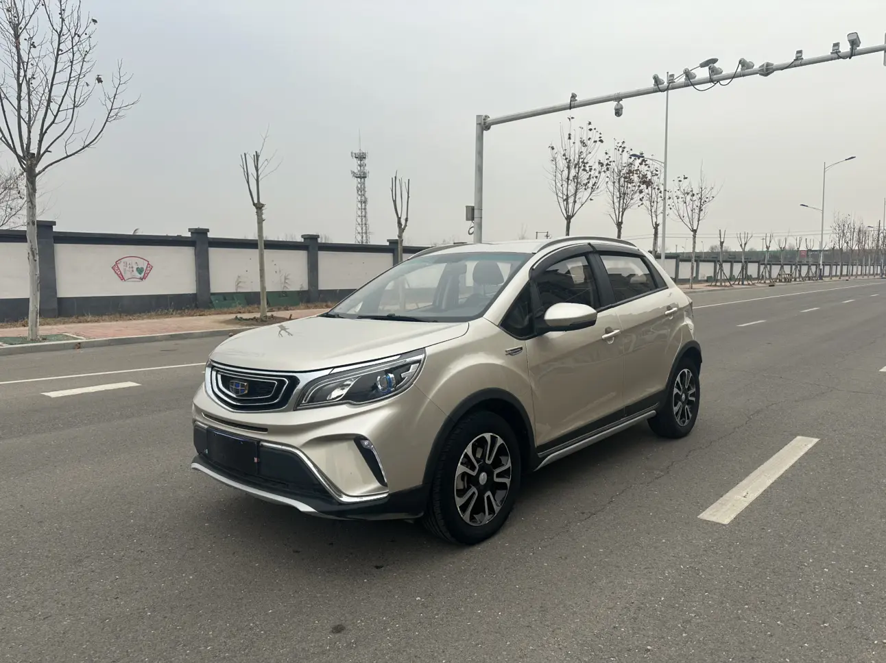 Geely Vision X3  из Китая