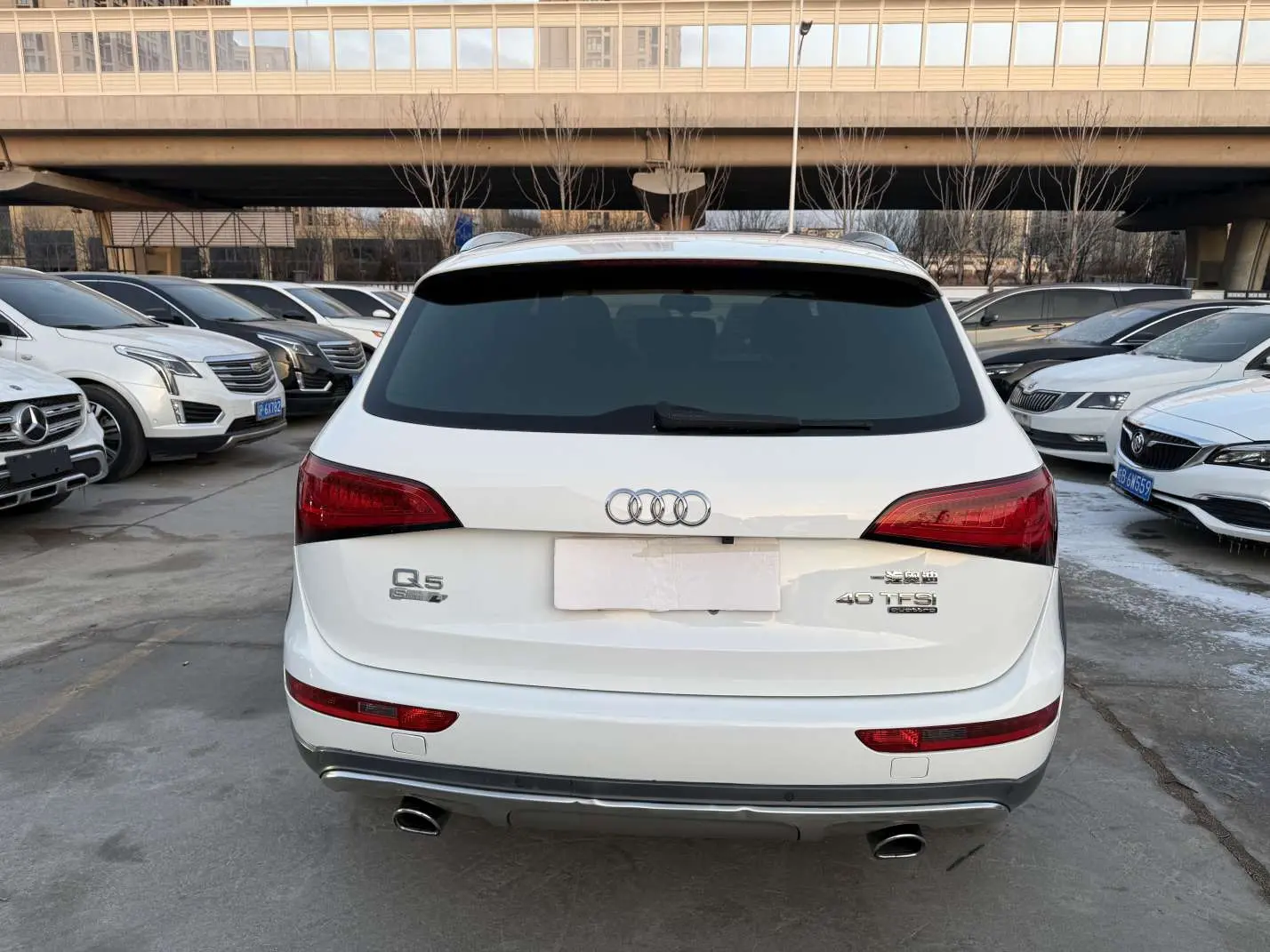 Audi Q5  из Китая